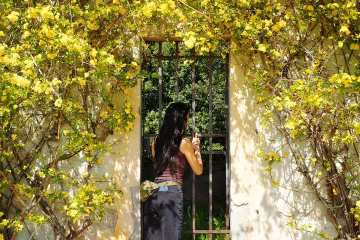 Pitti Palace and Boboli Gardens: Florence Guide