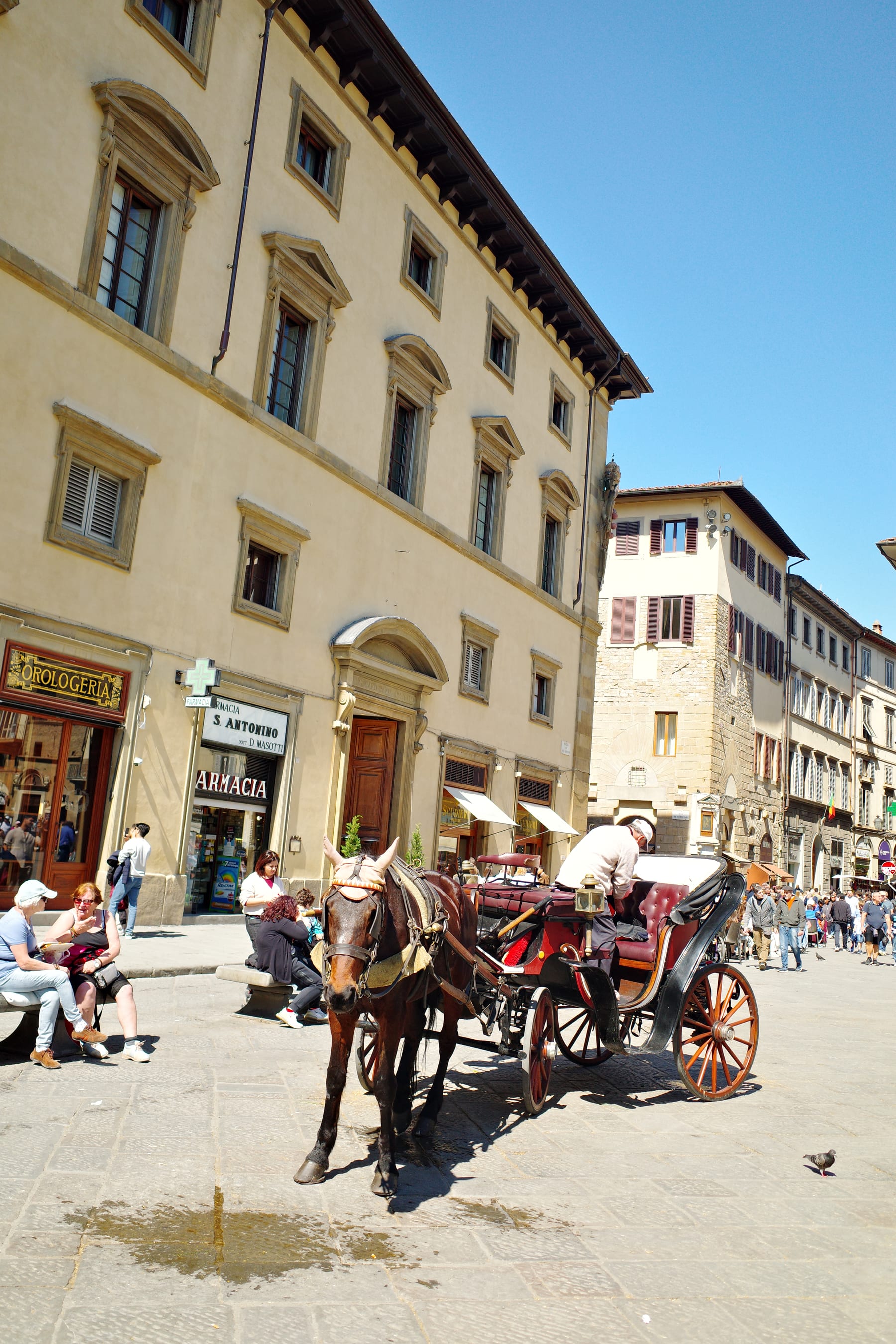 Horse carriage on a Florence street near historic buildings
