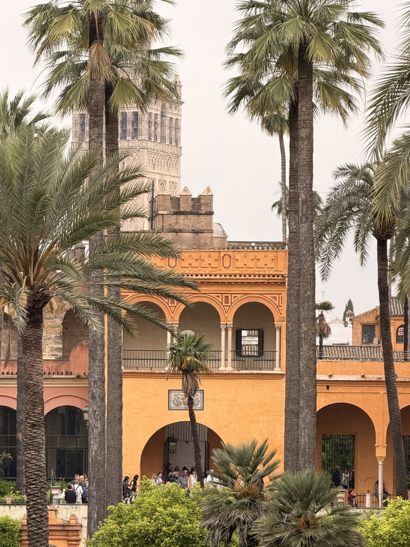 Royal Alcázar gardens with La Giralda visible in the distance in Seville