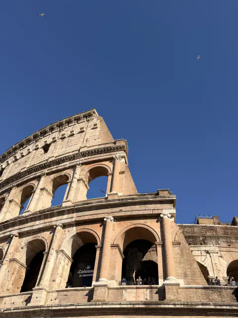 colosseum in all its beauty